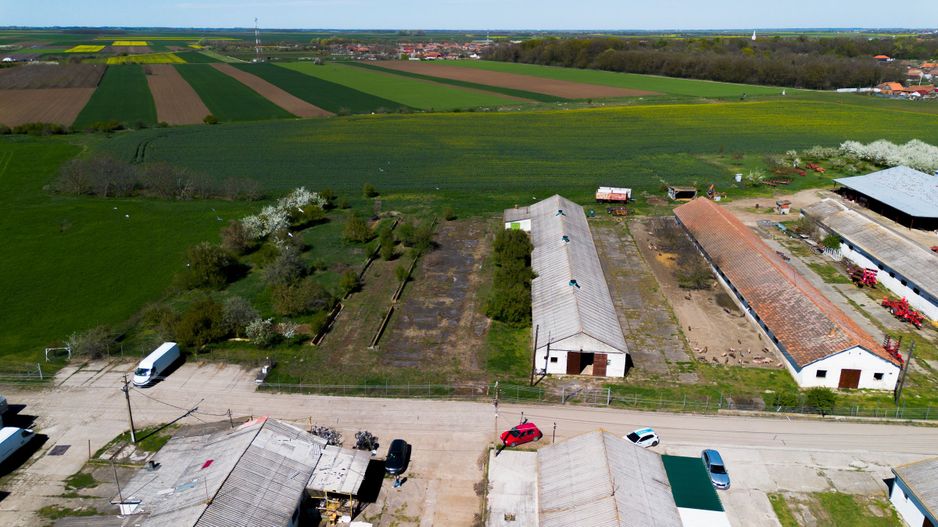 Spațiu depozitare 734mp și teren de 7.844mp Macea - Poză 2