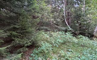 Teren generos de 8.267 mp în Predeal, Strada Nicolae Bălcescu. - Poză 4