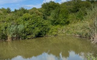 De vanzare teren in comuna schitu duca cu iaz de peste si salcami - Poză 1