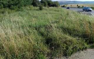 Teren 11000 mp, extravilan, Acatari la E60, 0% comision - Poză 4