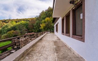 Domeniu în satul Căprioara - Poză 22