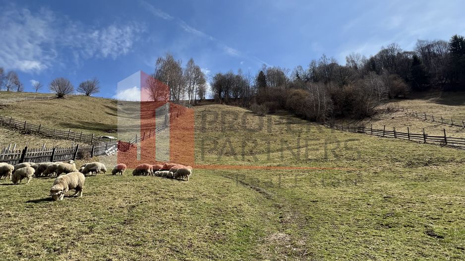 Teren Intravilan 9.194 mp, zona Bran - Simon - Poză 10