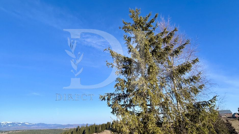 Cabana tip A frame si teren 1000 mp de vanzare / Marisel . Cluj - Poză 11