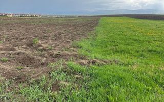 Teren de vanzare | 10.000 Mp | Sura Mica - Poză 1