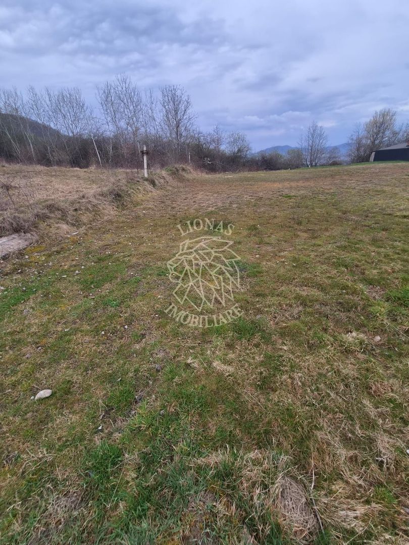 Teren  887 mp cu utilitati - Zona Dealul Jelnei - Poză 3