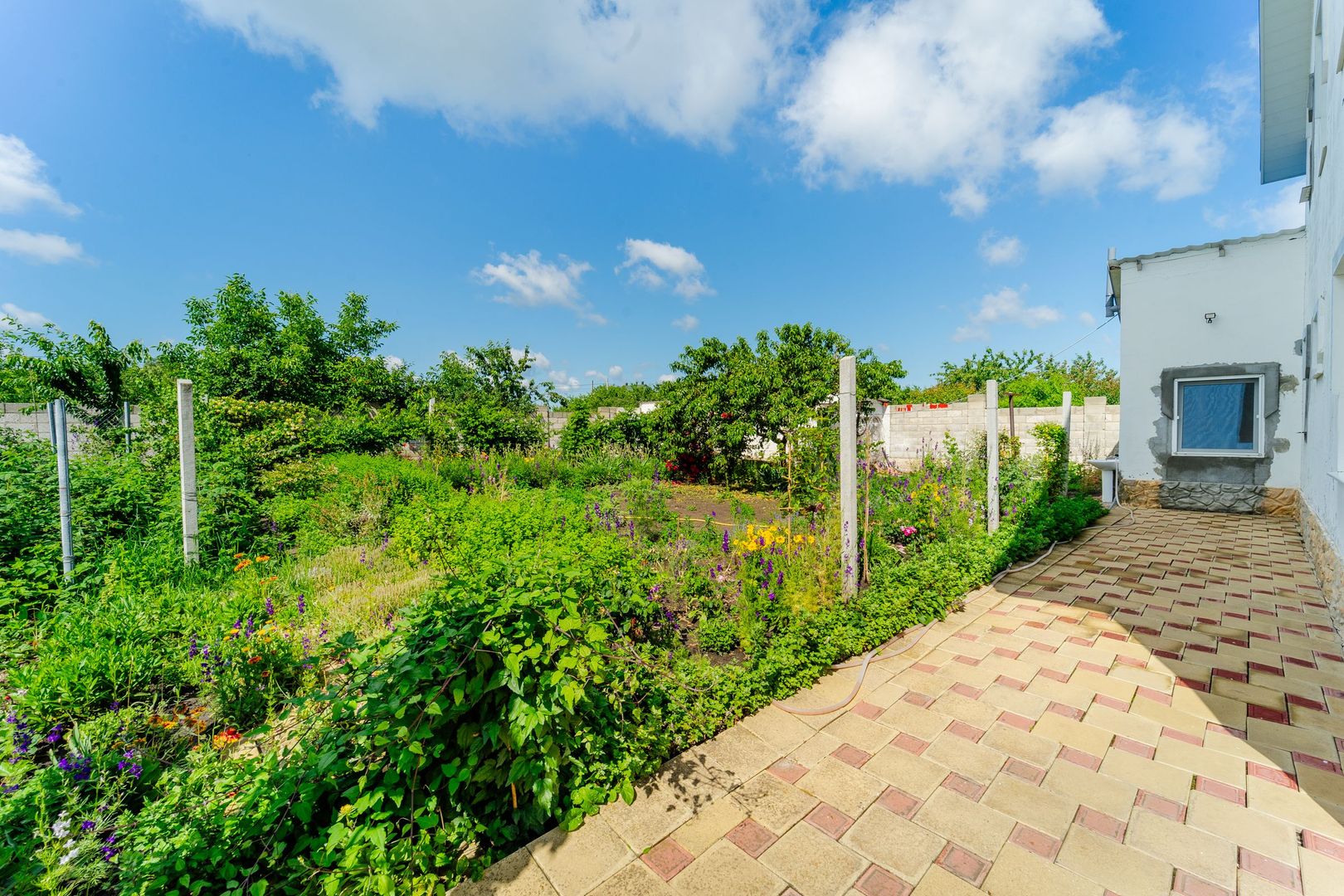 Spre vânzare casă individuală în Trușeni – 223,9 m² | Teren 8 Ari - Poză 4