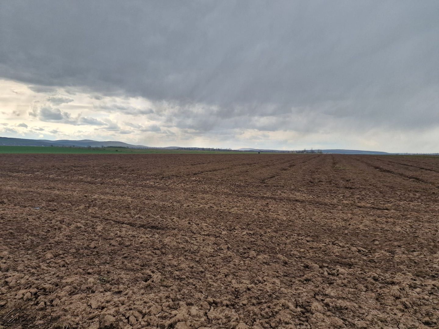 Teren 10,000mp Bacau / Strada Alexandru Safran - Poză 14