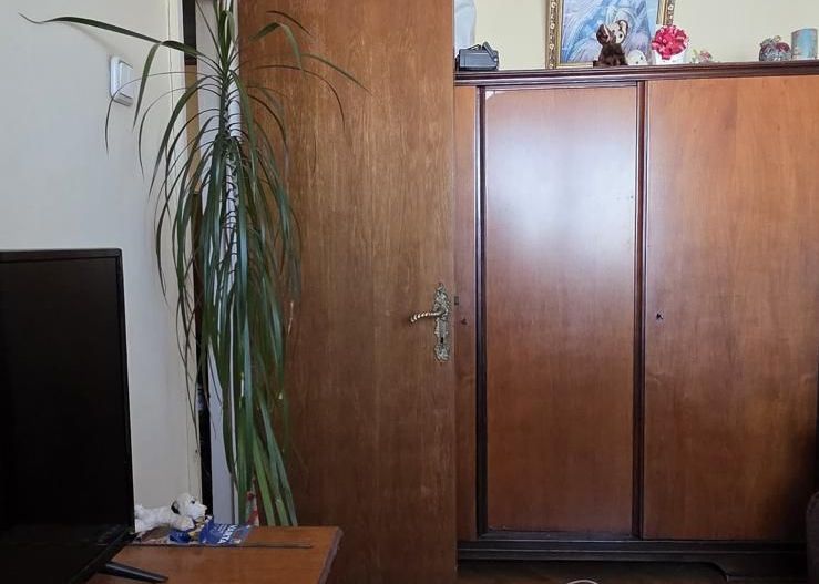 Vanzare Apartament 3 camere, 90 mp  – Cotroceni, vedere Splaiul Independentei - Poză 10