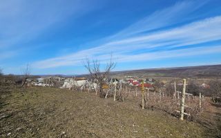 Teren pentru construcții 10 ari Vasieni, Ialoveni - Poză 8