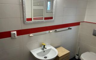 Apartament de închiriat în cartierul Zorilor - Poză 8