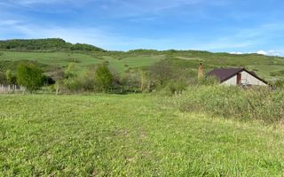 Teren 2160 mp - pretabil pentru cabana - investitie - Jelna - Poză 7