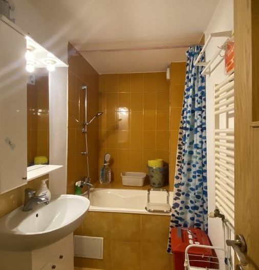 Apartament Nerva Traian/Papazoglu - Poză 11