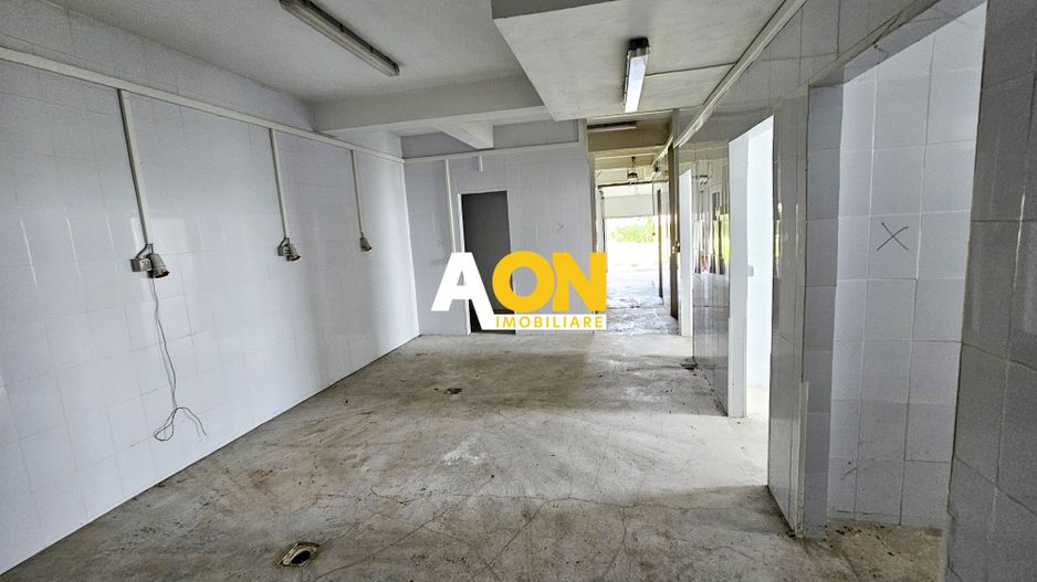 Clădire cu destinație de carmangerie în Ighiu - Potențial investitie! - Poză 7