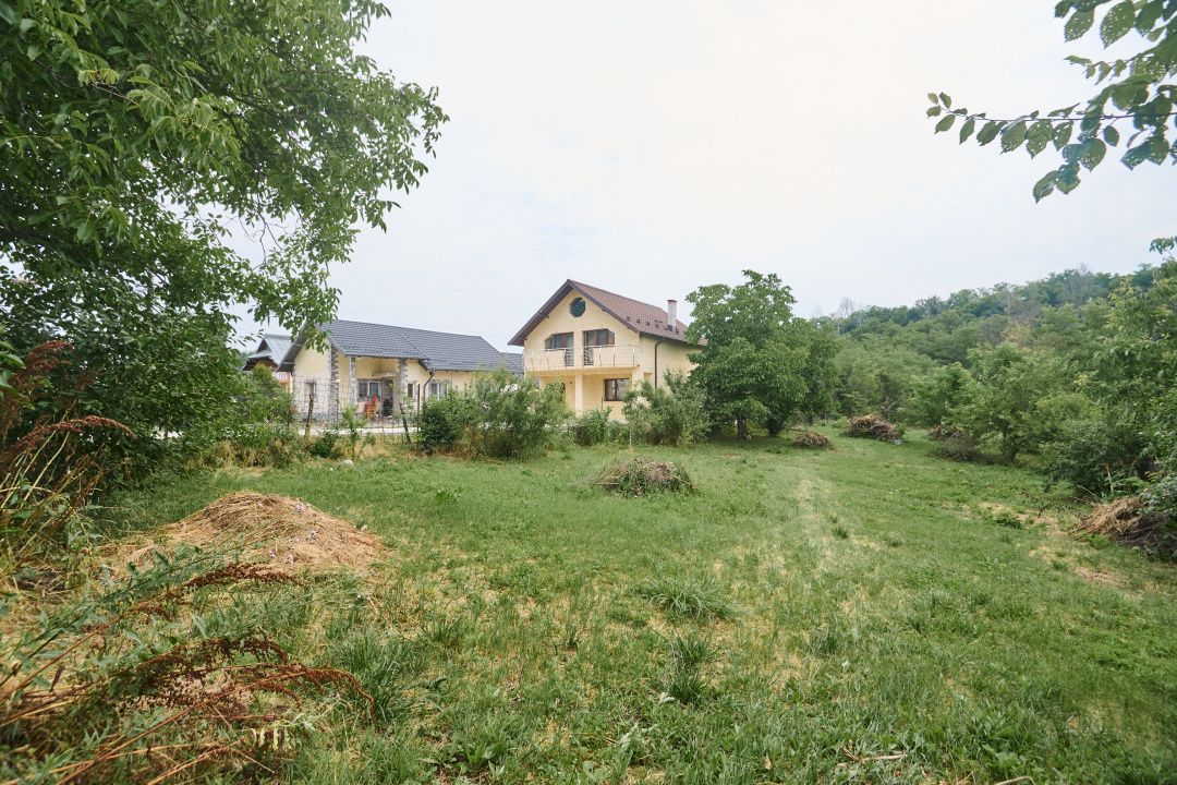 Teren 2240 mp intravilan + casa batraneasca Hintesti-Basangesti - Poză 5
