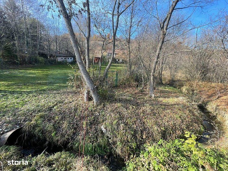 Teren 3349 mp de Vânzare | Bran – Panoramă Munții Bucegi - Poză 12