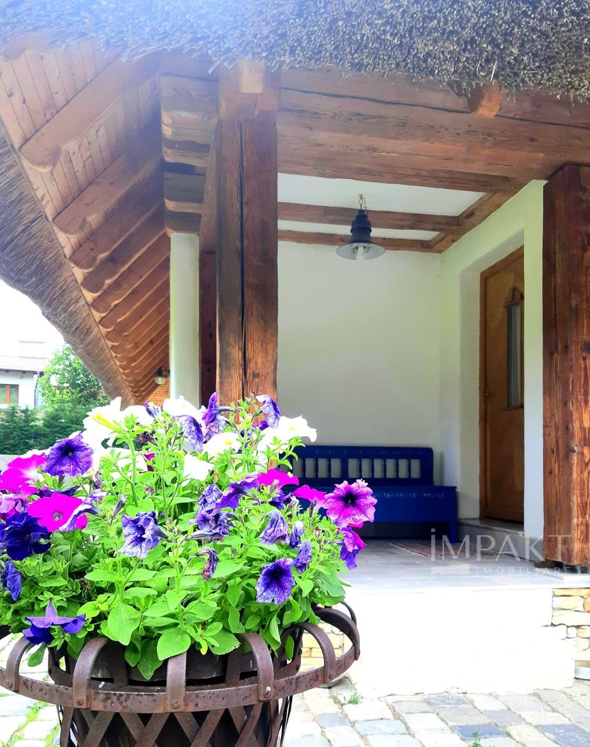 Casa traditionala de vis, aproape de Cluj-Napoca - Poză 19