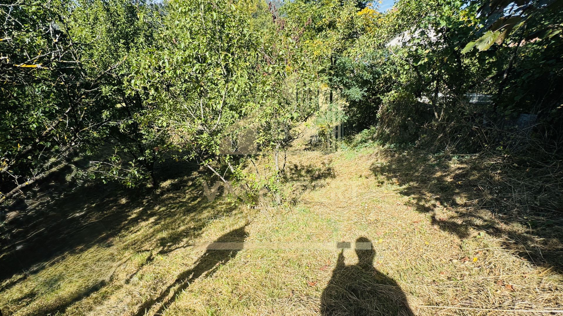 TEREN INTRAVILAN 3234 MP LEREȘTI VOINEȘTI ARGEȘ - Poză 38