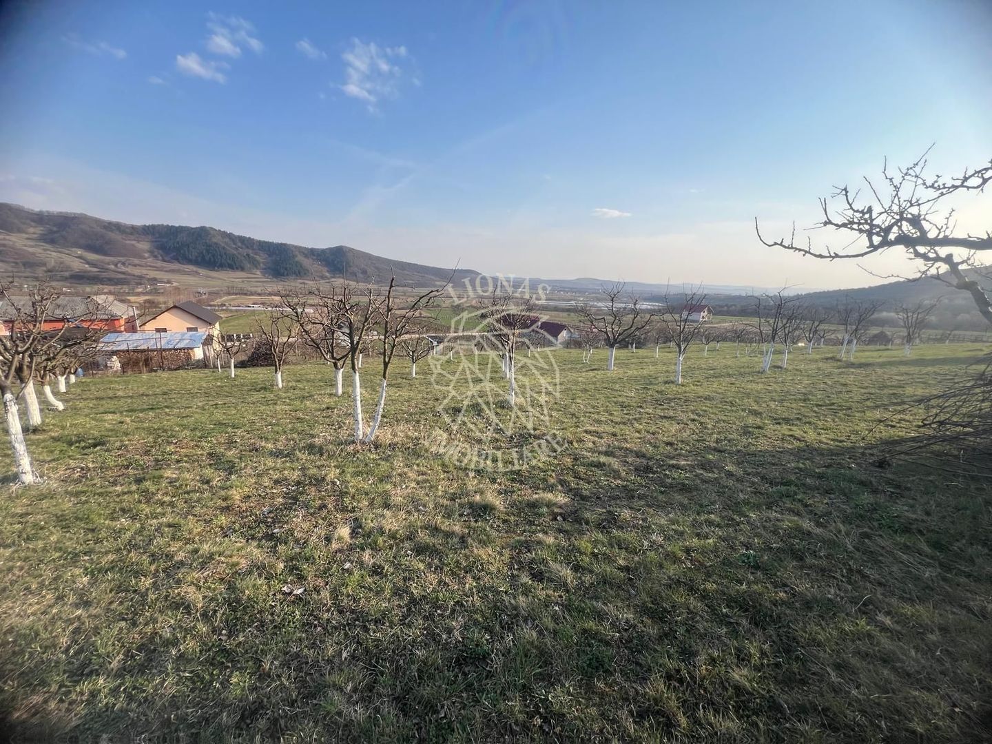 Teren 3100 mp-livada-ideal casa-Mititei - Poză 1