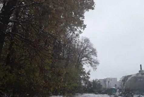 teren intravilan agricol Voluntari Ilfov - Poză 3