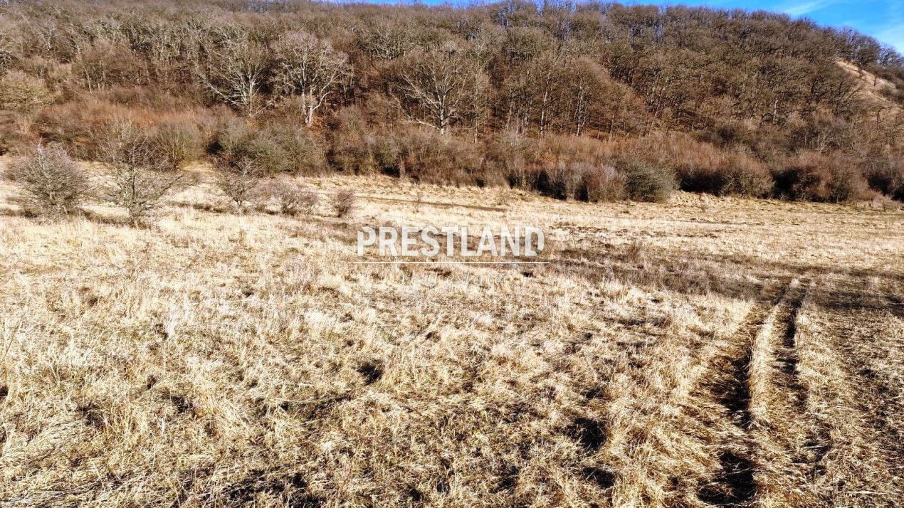 Teren 46.300 mp-zona Gușterița!! - Poză 2