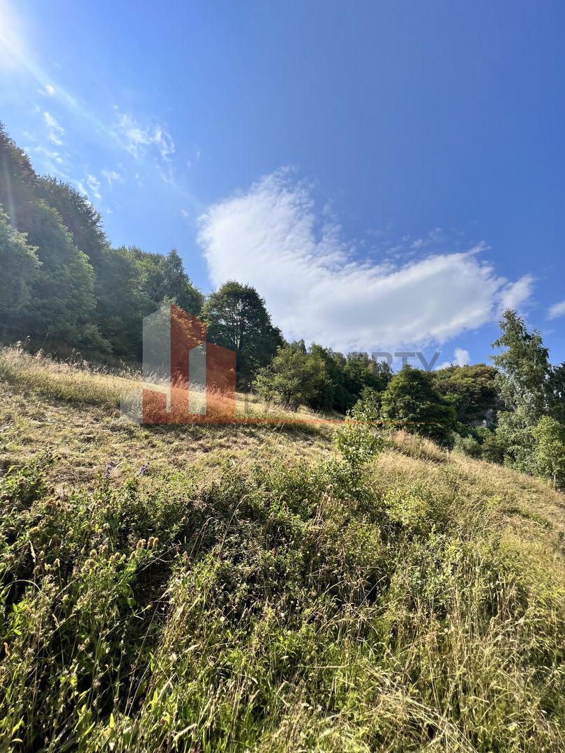 Teren de vânzare langa  Peștera Liliecilor  in Sat Pestera - Poză 12