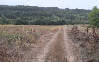 Teren Intravilan/Extravilan de vanzare in Bradestii Batrani - Poză 11