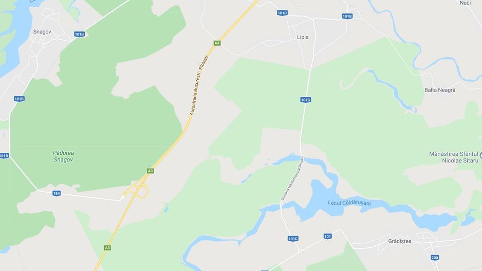 Teren, Gruiu ( sat Lipia ) - Poză 1