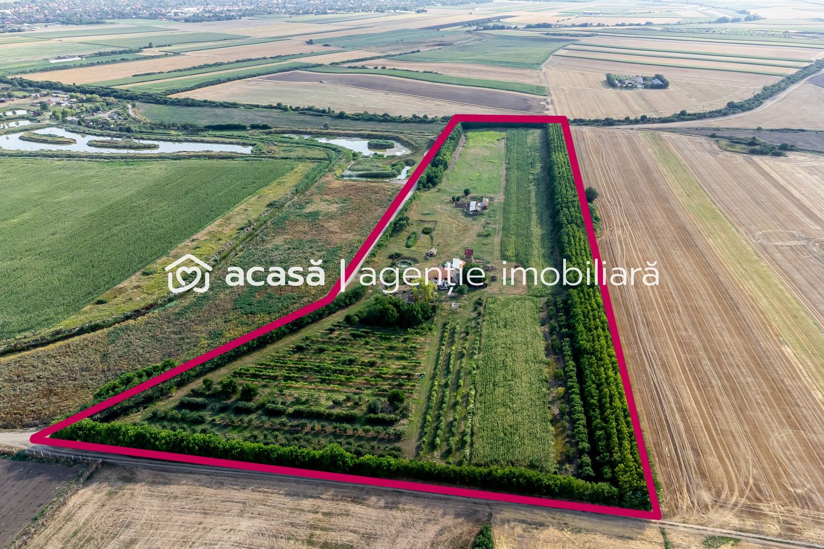 Preț nou! De vânzare teren 7.6 Ha în Pecica - Poză 1