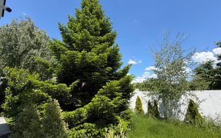 Vila cu 5 camere // * 565 mp gradina* // Tunari - Poză 118