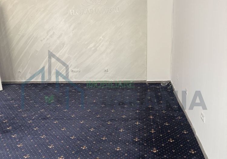 Spațiu comercial de închiriat, Șos. Arcu 27, CL2, Iași - Poză 3