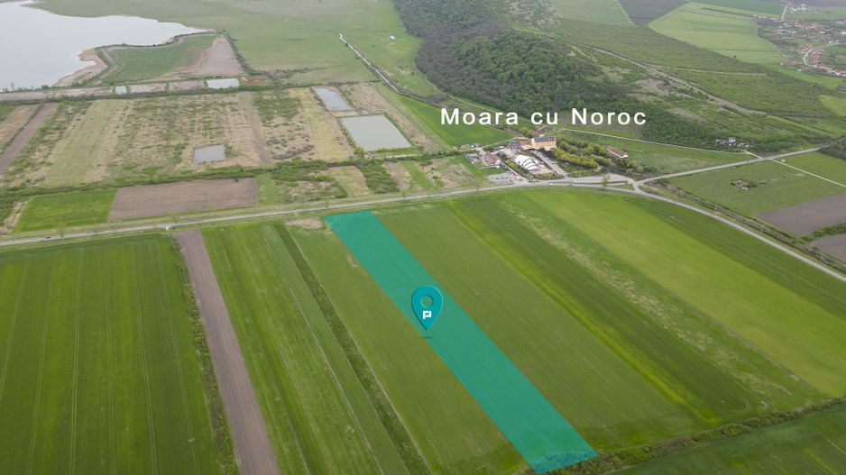 Teren extravilan de 22500mp Zona Ineu - Poză 1