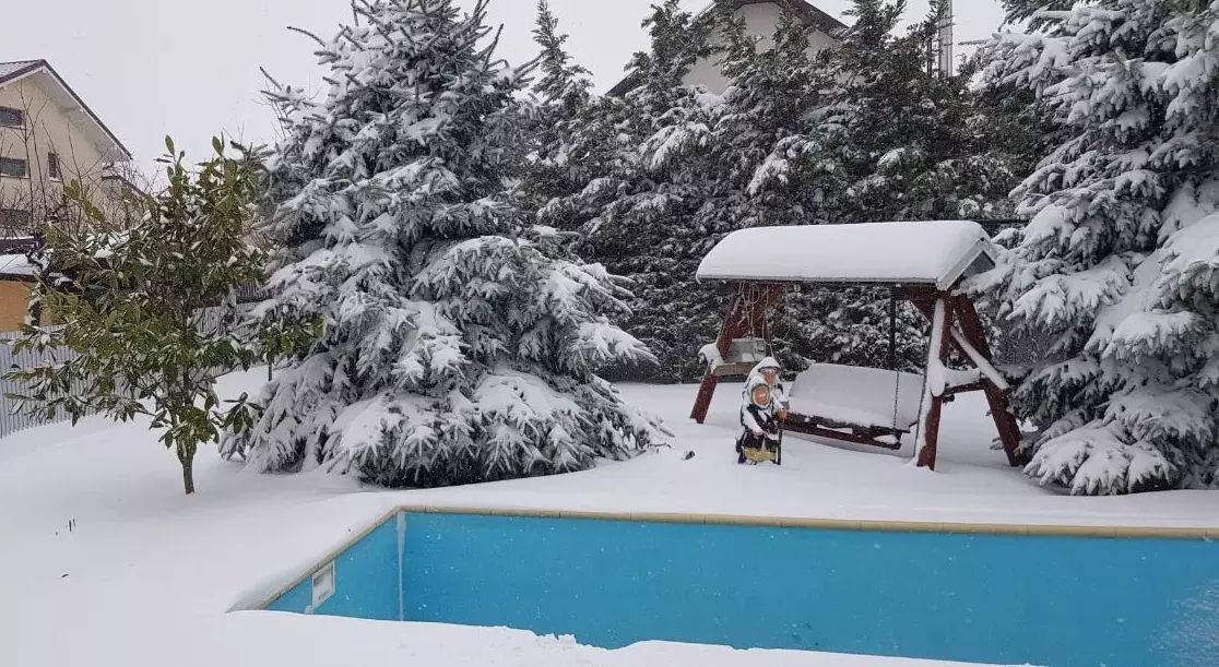 Vila de vanzare zona Metro/Arcasilor - P+1E+M - Poză 8