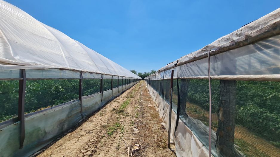 Afacere la cheie! Incasari din prima zi!!! - Poză 6