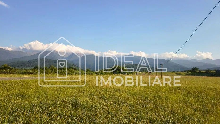 Teren extravilan de vânzare | Cârțișoara | 1800 mp - Poză 5