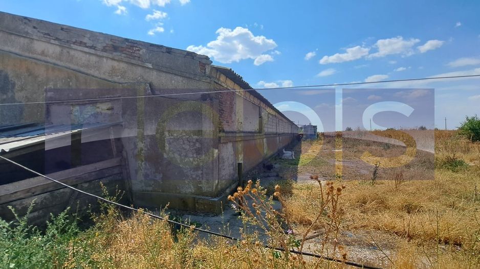 VANZARE TEREN 45.000 MP | IDEAL FERMA, HALA, PANOURI SOLARE | SACENI, TELEORMAN - Poză 5
