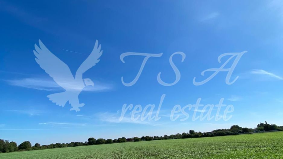 Teren Intravilan 825mp Cu dubla deschidere si Drum de servitute, Dascalu  Ilfov - Poză 4