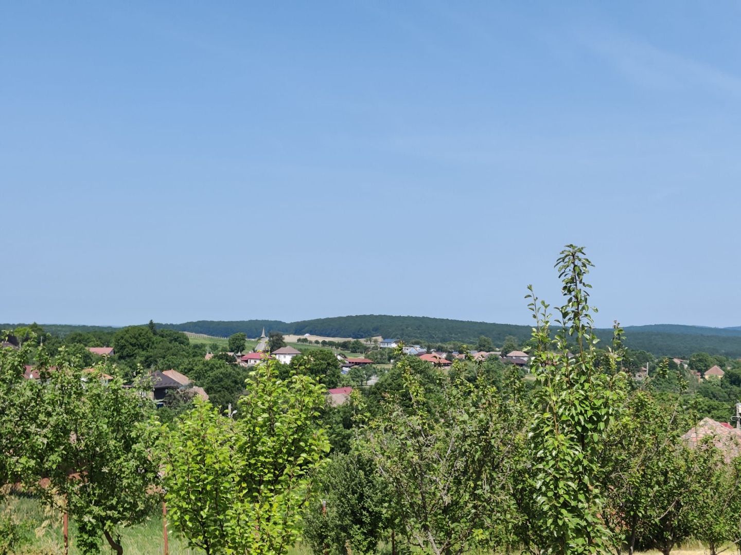 Casa individuala cu teren de 5000 mp, Deusu - Poză 7