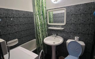 1 camera Lipovei parter, 4 apartamente pe palier - Poză 3