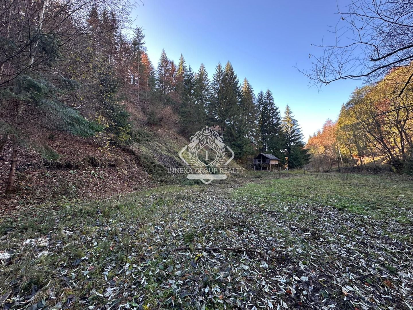 Teren 2.882 mp – oportunitate investitie - Cheile Dâmbovicioarei - Poză 3