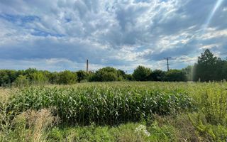 Casa cu teren de 1233 mp la 25 km de Oradea - Poză 11