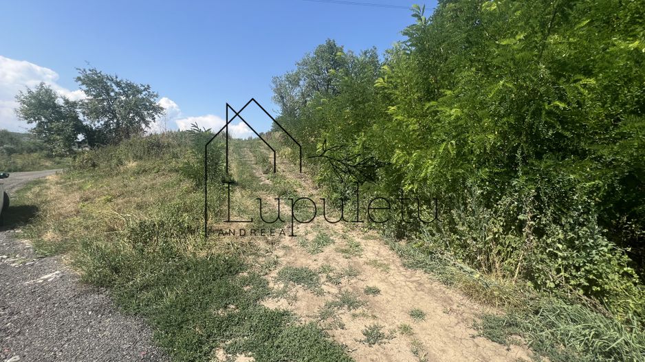 Teren Intravilan |5.000 MPU | Șura-Mare | - Poză 9