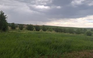Teren de vânzare în Voinesti, Iași – zonă în dezvoltare, lângă Equester - Poză 7