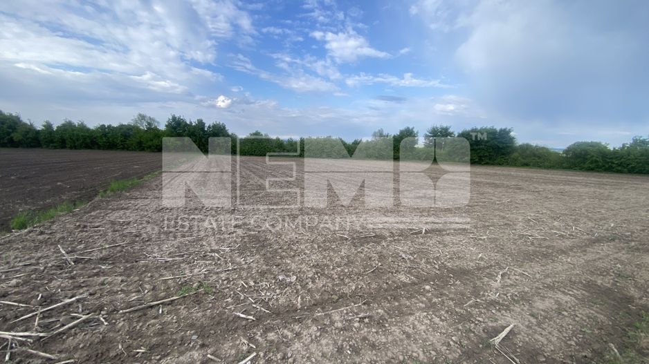 Teren Extravilan | 50 Ari | Horodnic De Jos - Poză 3