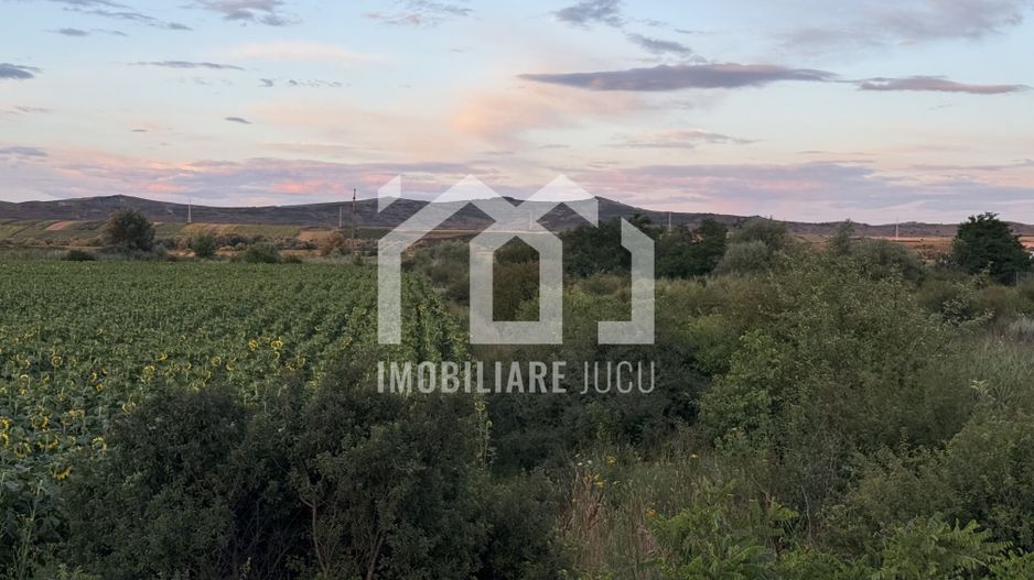 Teren – 7.194 mp | Răscruci – Zona Tetarom - Poză 5
