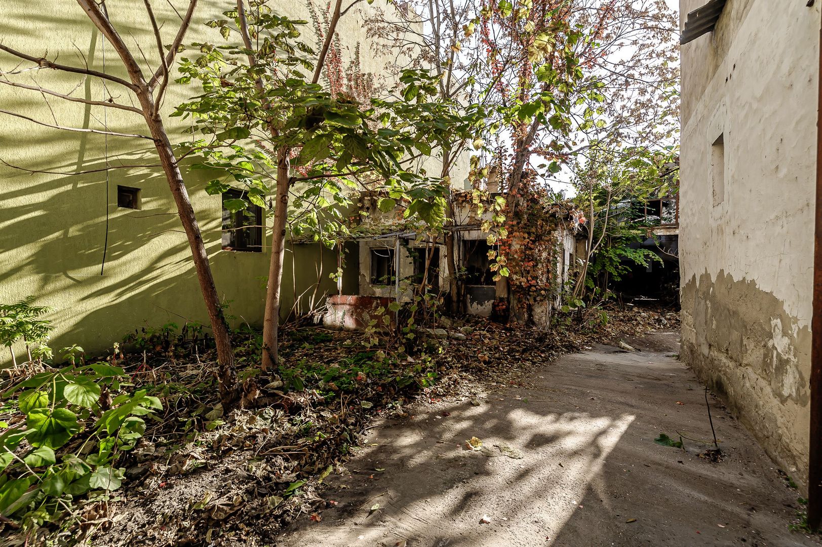 Teren de 439mp pe str. Unirii - Poză 6