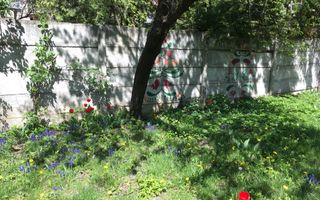 Casa in zona centrala Brasov - Poză 7