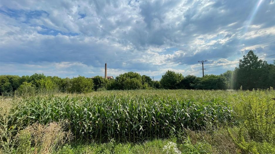 Casa cu teren de 1233 mp la 25 km de Oradea - Poză 11