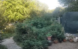 Vânzare teren intravilan Dărăști-Vlașca - Poză 1