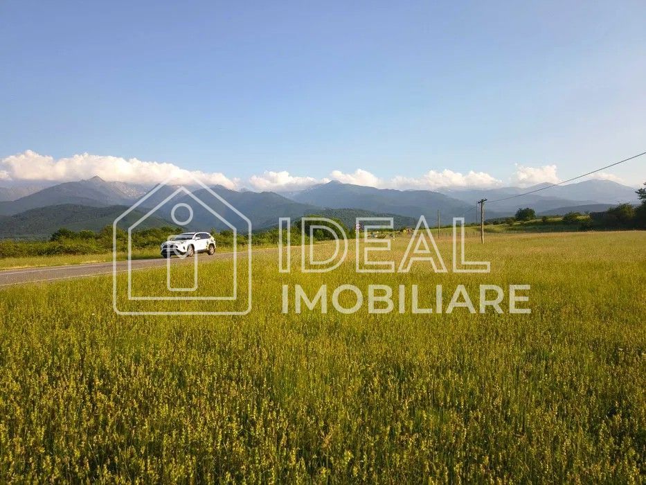 Teren extravilan de vânzare | Cârțișoara | 1800 mp - Poză 2