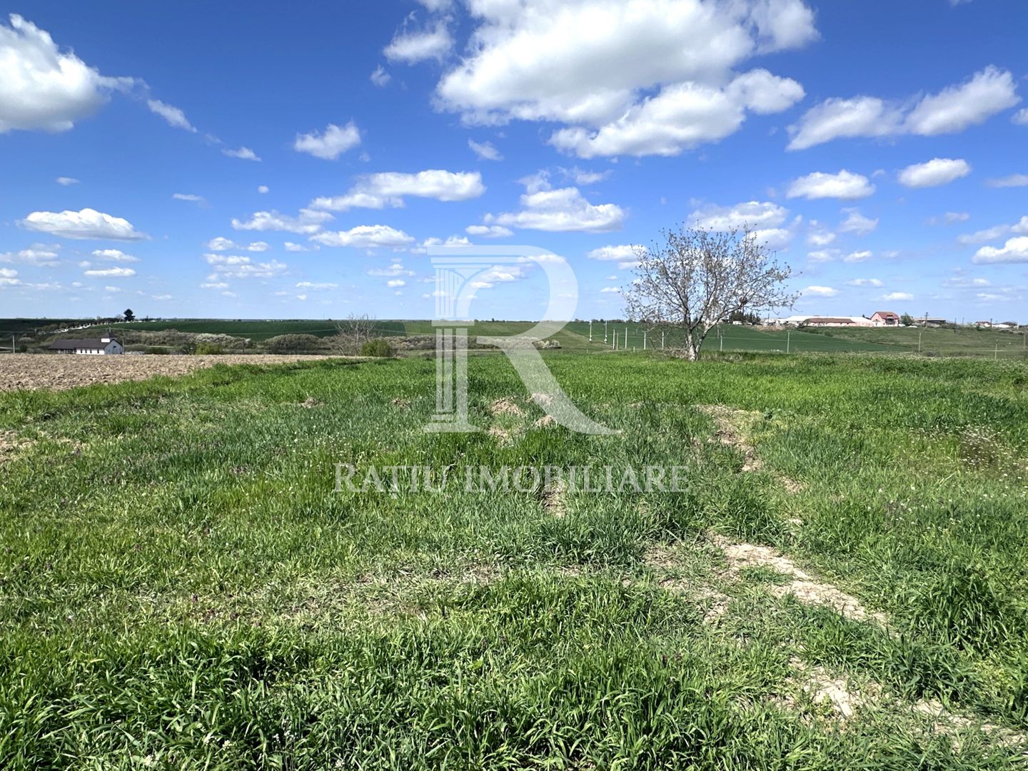 Teren intravilan | Leș | Bihor - Poză 3